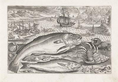 Two Fish on the Beach by Adriaen Collaert