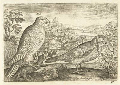 Two Birds in a Landscape by Adriaen Collaert