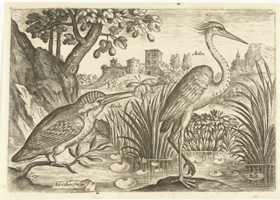Two Birds in a Landscape (series title: Birds, Avivm Vivae) by Adriaen Collaert