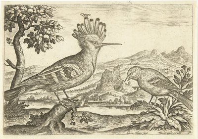 Two Birds in a Landscape (series title) by Adriaen Collaert