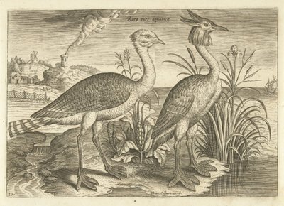 Two Wading Birds in a Landscape by Adriaen Collaert