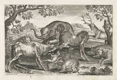 Fighting Animals, Four-legged Animals (series title), Animalivm Qvaddrvpedvm (series title) by Adriaen Collaert
