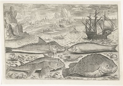 Four Fish on the Beach (Fish, Piscivm Vivae Icones) by Adriaen Collaert