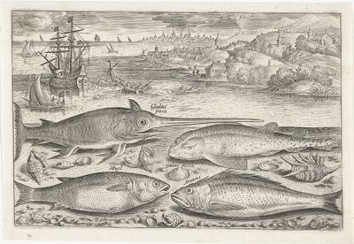 Four Fish on the Beach (Fish) by Adriaen Collaert