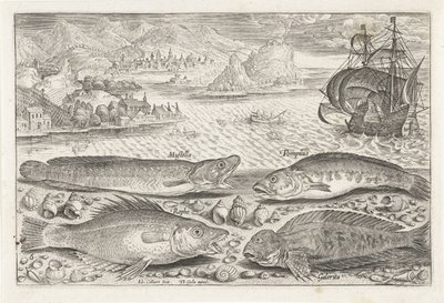 Four Fish on the Beach by Adriaen Collaert