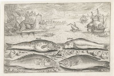 Four Fish on the Beach by Adriaen Collaert