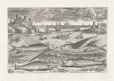 Four Fish on the Beach by Adriaen Collaert