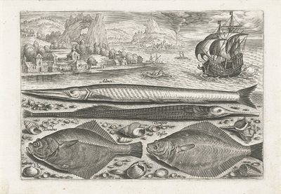 Four Fish on the Beach by Adriaen Collaert