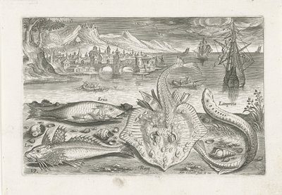 Four Fish on the Beach (series title) Piscivm vivae icones (series title) by Adriaen Collaert