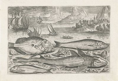 Four Fish on the Beach (Piscivm vivae icones series) by Adriaen Collaert