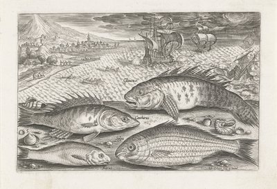 Four Fish on the Beach by Adriaen Collaert