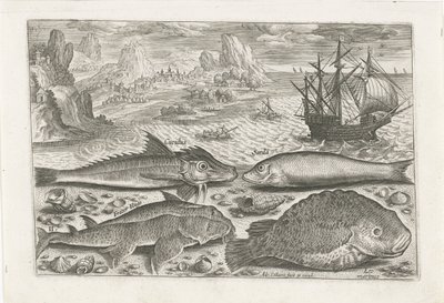 Four Fish on the Beach by Adriaen Collaert
