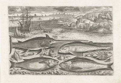 Four Fish on the Beach by Adriaen Collaert