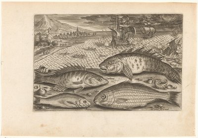 Four Fish on the Beach by Adriaen Collaert