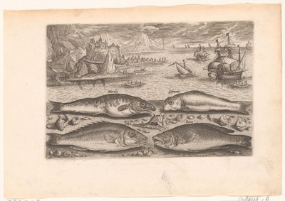 Four Fish on the Beach (series title: Fish, Piscivm vivae icones) by Adriaen Collaert