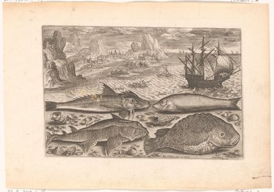 Four Fish on the Beach by Adriaen Collaert