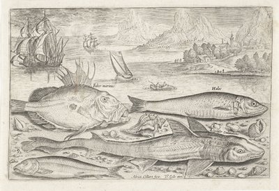 Four Fish on the Beach (Fish series) by Adriaen Collaert