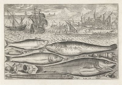 Five Fish on the Beach by Adriaen Collaert