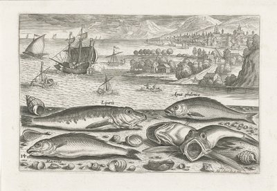 Five Fish on the Beach (series title) Piscivm vivae icones (series title) by Adriaen Collaert