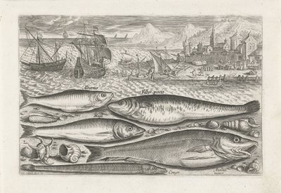 Five Fish on the Beach (Piscivm vivae icones series) by Adriaen Collaert