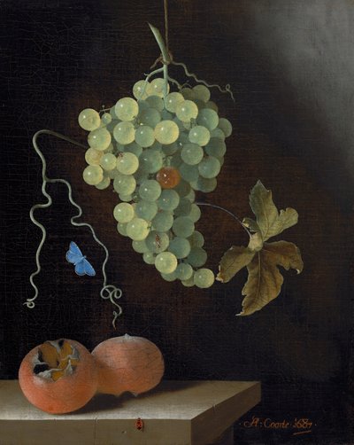 Still Life with a Hanging Bunch of Grapes, Two Medlars, and a Butterfly by Adrian Coorte