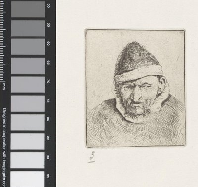 Bust of an Old Farmer with a Pointed Hat by Adriaen van Ostade