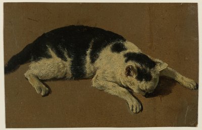 Cat Lying with Head Between Front Paws by Adriaen van de Velde (attributed to)