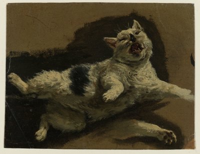 Cat Lying on Its Back with Loose Paw by Adriaen van de Velde (attributed to)