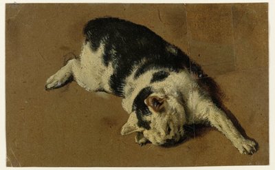Cat Lying on Its Side, Left Forepaw Outstretched by Adriaen van de Velde (attributed to)