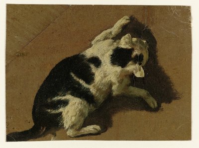 Cat Playing by a Wall by Adriaen van de Velde (attributed to)