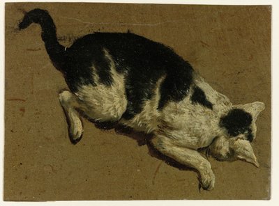 Cat Looking Down from a Height by Adriaen van de Velde (attributed to)