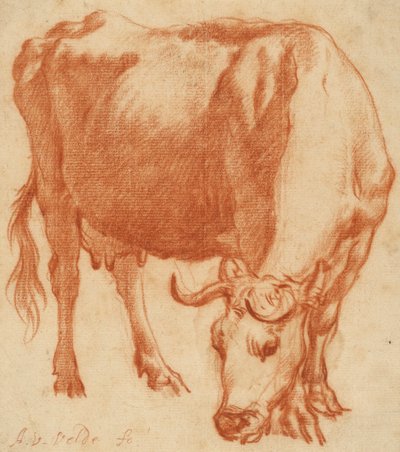 A cow grazing, c.1663 by Adriaen van de Velde