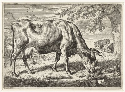 Grazing Cow and Two Sheep (Cows and Sheep) by Adriaen van de Velde