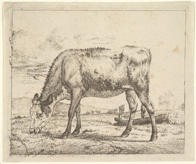 Grazing Calf, from Different Animals, 1658 by Adriaen van de Velde