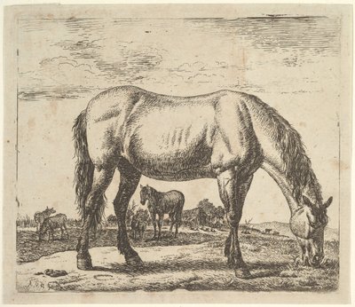 Grazing Horse, from Different Animals by Adriaen van de Velde