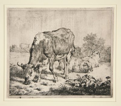 The Pied Ox and the Three Sheep by Adriaen van de Velde