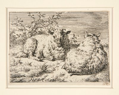 The Two Sheep by Adriaen van de Velde