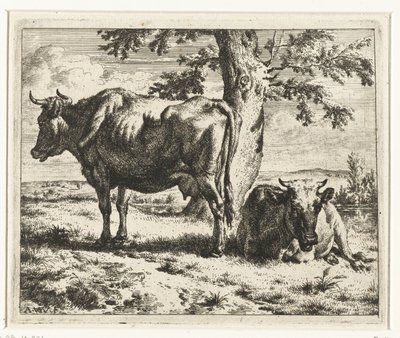 Two Cows Under a Tree by Adriaen van de Velde
