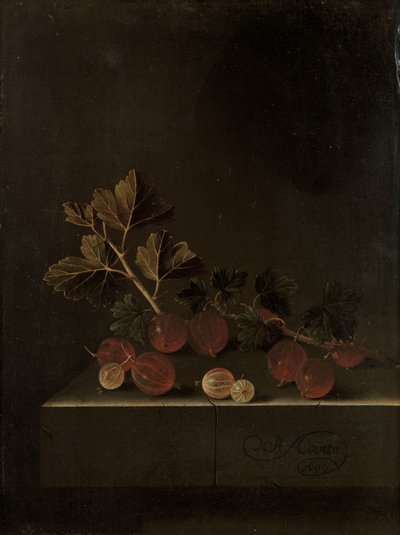A Sprig of Gooseberries on a Stone Plinth by Adrian Coorte