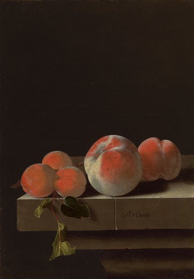 Peaches and Apricots on a Stone Ledge by Adrian Coorte