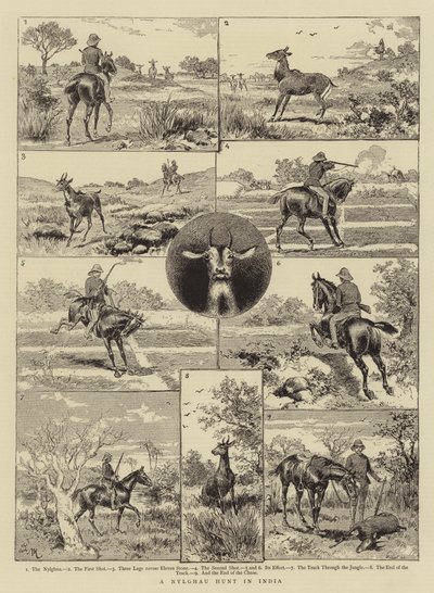 A Nylghau Hunt in India by Adrien Emmanuel Marie