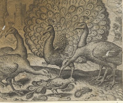 Fable of the Magpie with Peacock Feathers by Egidius  Sadeler (II)