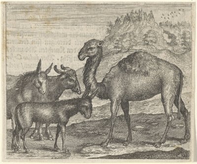 Fable of the Donkey, the Buffalo, the Camel, and the Mule by Egidius  Sadeler (II)