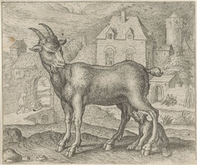 Fable of the Goat and the Young Wolf by Egidius  Sadeler (II)