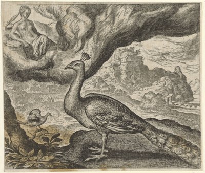 Fable of the Peacock and the Nightingale by Egidius  Sadeler (II)