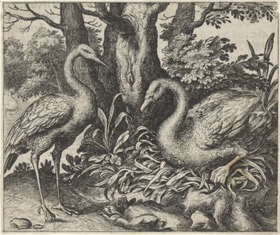 Fable of the Swan and the Stork by Egidius  Sadeler (II)