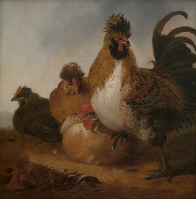 Rooster and Hens by Aelbert Cuyp
