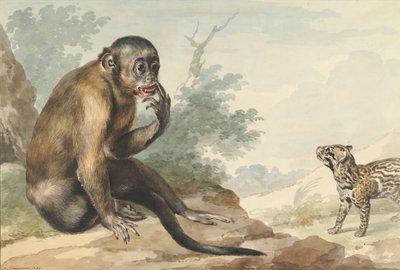 A Monkey Sitting on a Rock Looking at a Civet by Aert Schouman