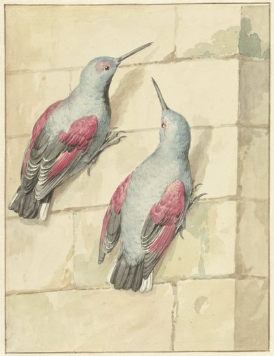 Two Rock Climbers, Blue and Purple, on a Wall by Aert Schouman