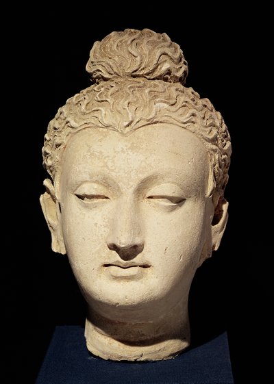 Head of a Buddha, Greco-Buddhist Style, from Hadda by Afghan School